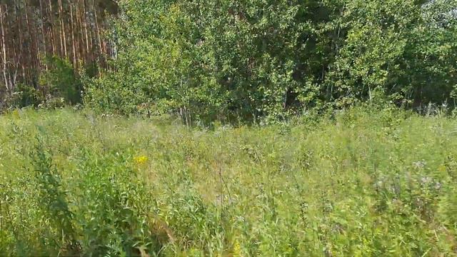 Загадки Самарской Луки, следы снежного человека. смотреть онлайн