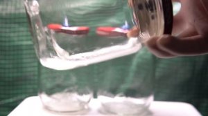 Жидкий мицелий культур: кордицепс, рейши, ежовик гребенчатый. Стерилизация и основные этапы работы