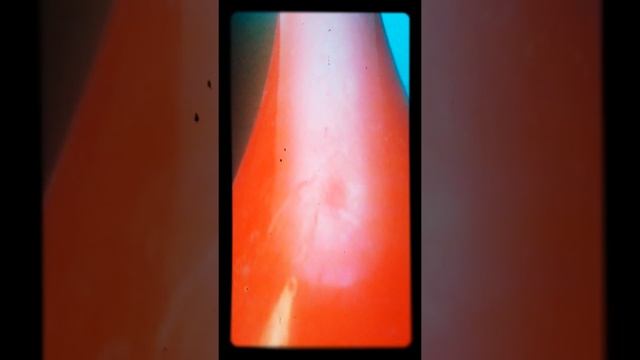 Piano Sketch смотреть онлайн