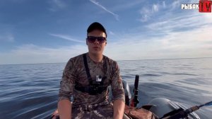 Ловля судака на Ладоге. Судак на дорожку на Ладожском озере. Июль 2022 рыбалка