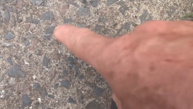 Как безопасно вытащить клеща с помощью банковской карты? смотреть онлайн