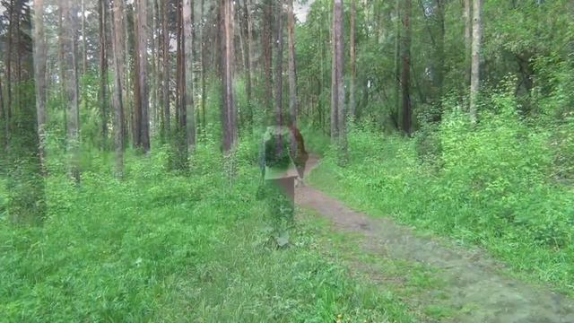 Эдемский сад (24.05.15) смотреть онлайн