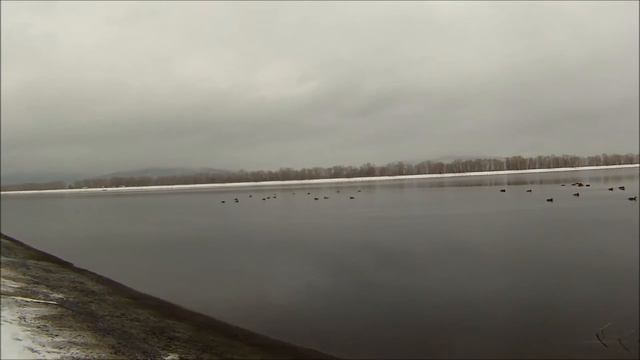 Прогулка по курмышу. смотреть онлайн