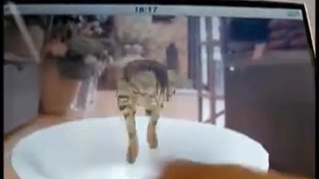 iPhone Cat App-3D bengal смотреть онлайн
