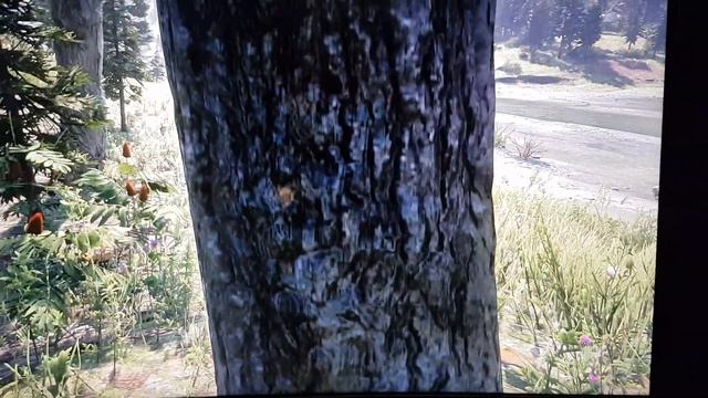 Red Dead Redemption 2 Pc Vs Ps4 тесселяция деревьев