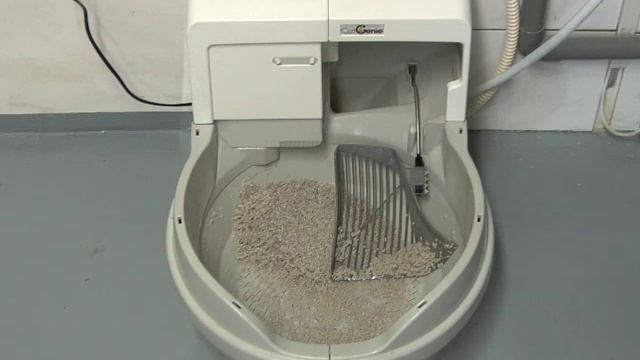 CatGenius full wash cycle смотреть онлайн