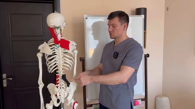 Идеальная осанка за 1 минуту на всю жизнь смотреть онлайн