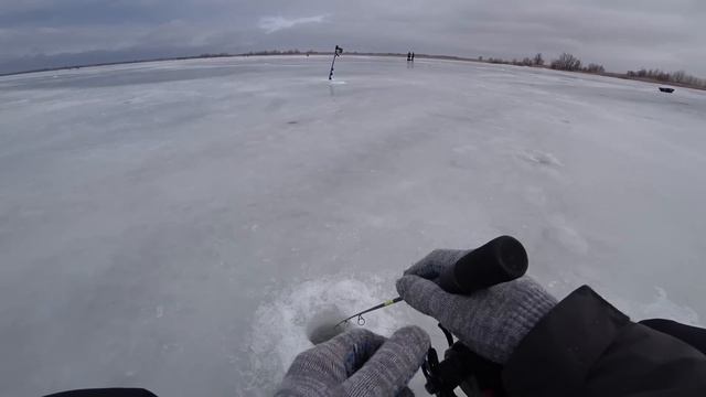 ОПУСТИЛ ПРИМАНКУ В ТЁМНУЮ ЛУНКУ, МОЩНЫЙ УДАР И ЗАГИБ УДОЧКИ...! Зимняя рыбалка в новом месте 2024. смотреть онлайн