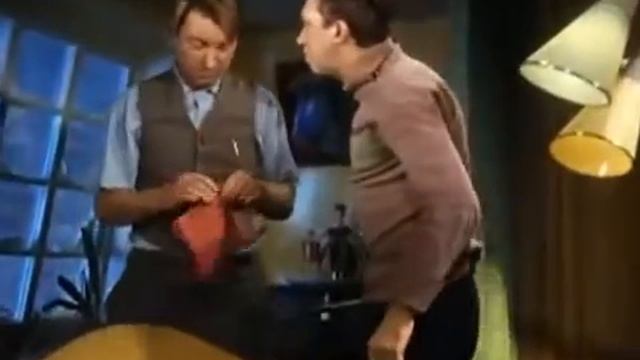 На кошках тренируйся смотреть онлайн