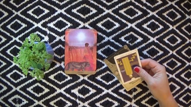 This Tiger Has a Message For You, Vitality Ahead | Oracle Card Reading смотреть онлайн
