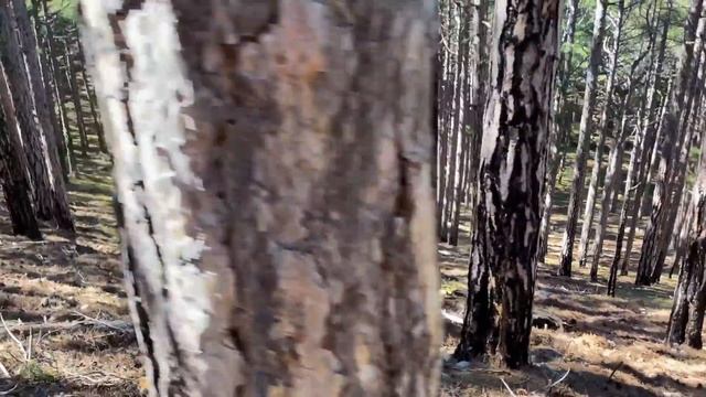 Один день в крымских горах и забываешь про все проблемы - Крым Алупка Хаста-Баш и гора Крестовая. смотреть онлайн