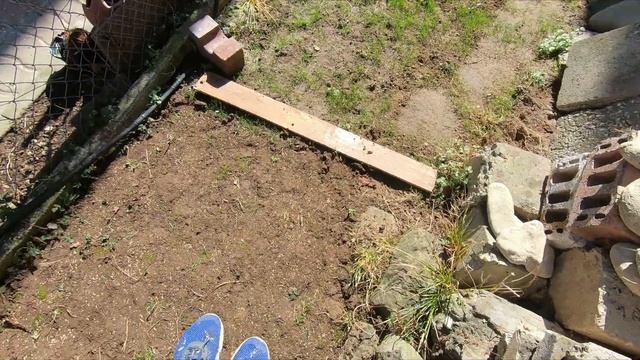 Как се прави зелен килим от ТРЕВНИ СМЕСКИ - РАЙГРАС, Бързо и Лесно смотреть онлайн