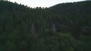 Егерь спас тонущую в озере девушку. Она была красивой, но ОКАЗАЛОСЬ...