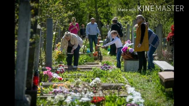 КАК УХАЖИВАТЬ ЗА МОГИЛОЙ... смотреть онлайн