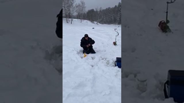 23 января 2021 г. смотреть онлайн