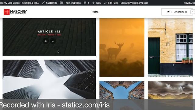 Masonry Grid Resize Builder - Bearsthemes смотреть онлайн