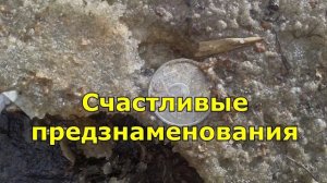 Найти деньги на улице. Что нельзя делать. Приметы.