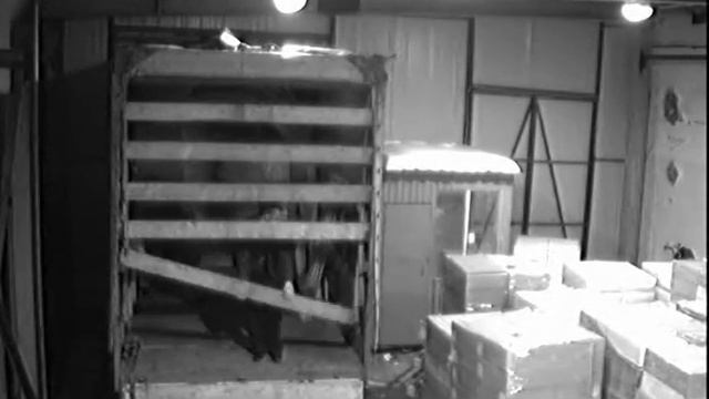 Камера [2] (19-03-13 15'23'40) - (14-03-13 19'59'58)