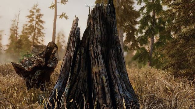 Skyrim SE Mods: HQ Bark Overhaul смотреть онлайн