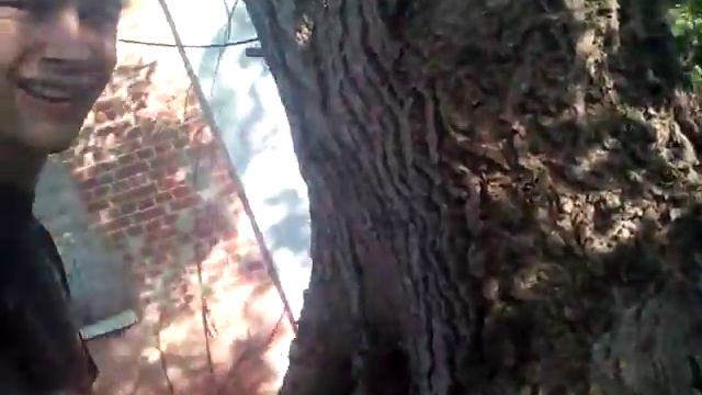 Просто ржачь смотреть онлайн