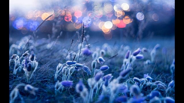 САМЫЕ КРАСИВЫЕ ФОТОГРАФИИ ПРИРОДЫ 6 Природа Nature