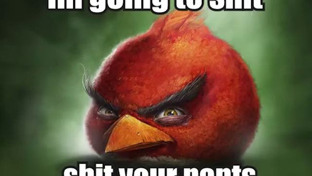 Ultra HD Realistic Angry Bird low quality (full) смотреть онлайн