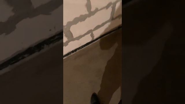 #полив #стяжкапола #дом #дача #лайки #лайкивзаимно смотреть онлайн