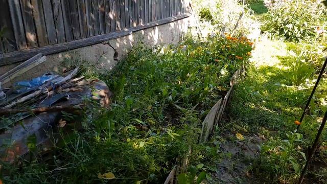 Купили ДОМ! Обзор участка Мусор и Бардак от бывших владельцев 1 часть