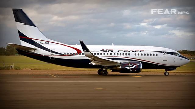 Работника аэропорта засосало в двигатель самолета. Чудовищная история смотреть онлайн