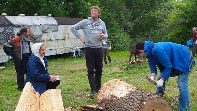 Как сделать борть. Бесконтактное пчеловодство смотреть онлайн