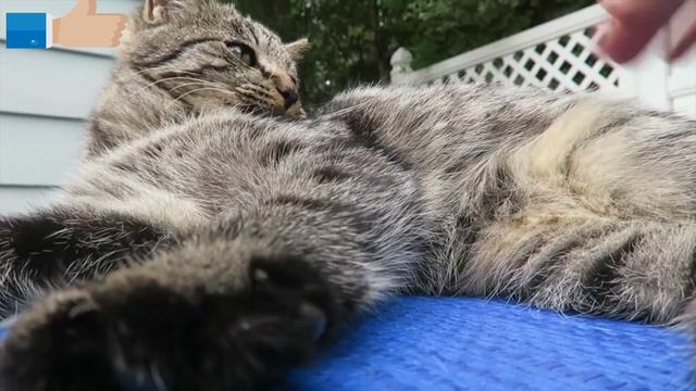 Красавцы? смотреть онлайн