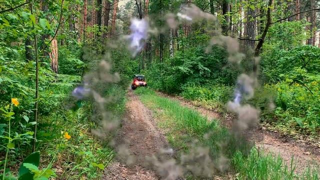 Наконец-то нашли Перчатку Таноса в лесу