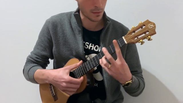 Catching The Train (Original Composition) - ukulele solo - Flight Diana Soundwave смотреть онлайн