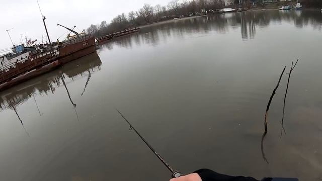 Зимний микроджиг❄ XESTA Black Star Extra Tuned S64UL-S - первые впечатления смотреть онлайн