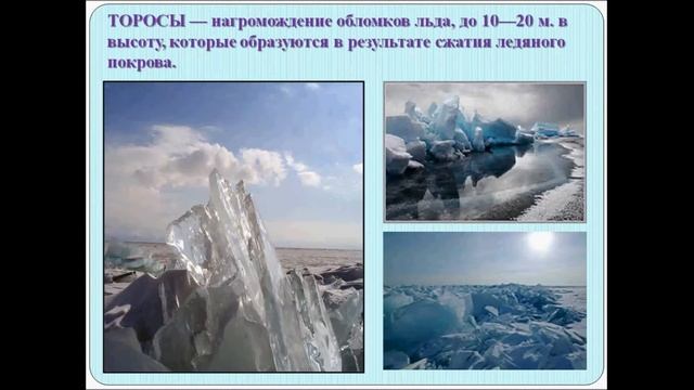 Северный Ледовитый океан. География 6 класс. смотреть онлайн
