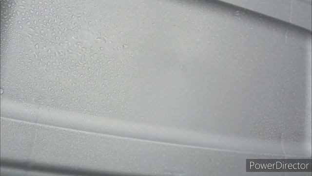 fruiting conditions. growing mushrooms for beginners. смотреть онлайн