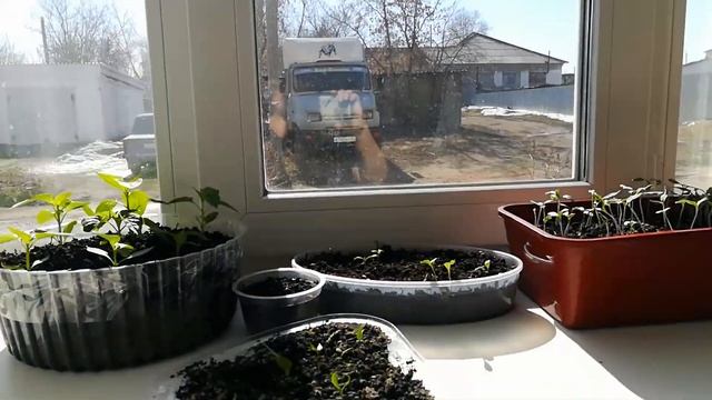 На улице тепло, буду мыть окна. смотреть онлайн