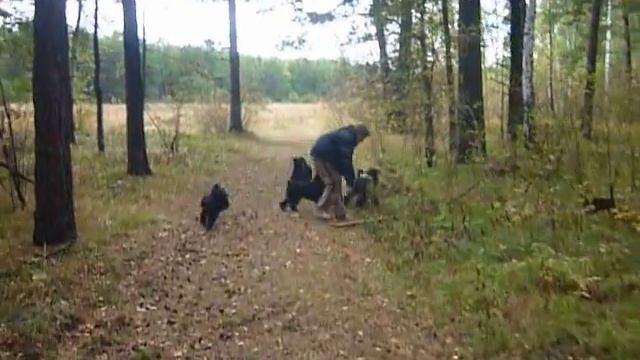 17 сентября 2010. Дача - 9 смотреть онлайн