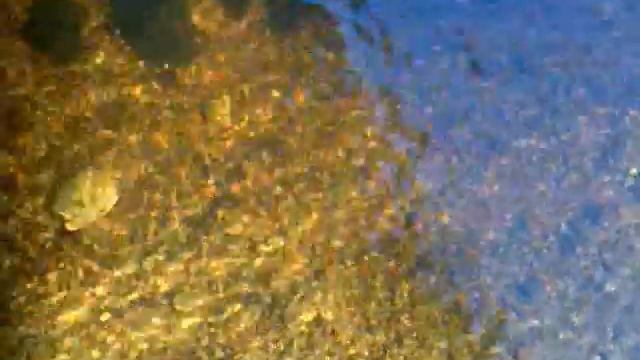 дачные хроники: речка Вьюн смотреть онлайн