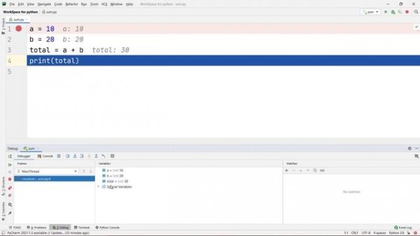 How to Debug Python Code in Pycharm with the Watch Window Feature ??