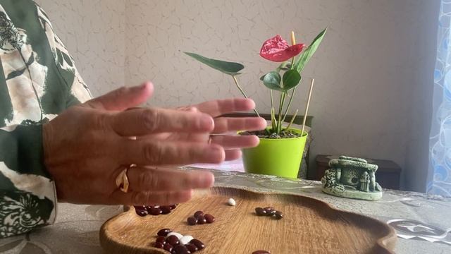 [ГАДАНИЕ НА БОБАХ] Что он хочет показать своим поведением к вам смотреть онлайн