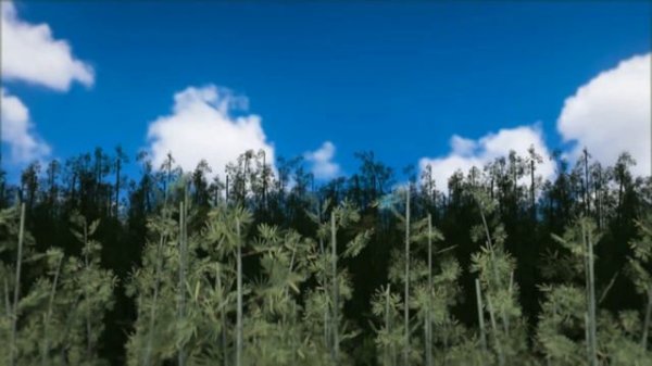 Oko Lele 💚 Oko story 🦂 Episodes Collection - CGI animated short | Chuck Chicken Cartoons