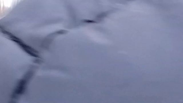 Электропоезд эт2м-091 Сообщением Санкт-Петербург Торфяное Отправляется с платформы Любань смотреть онлайн