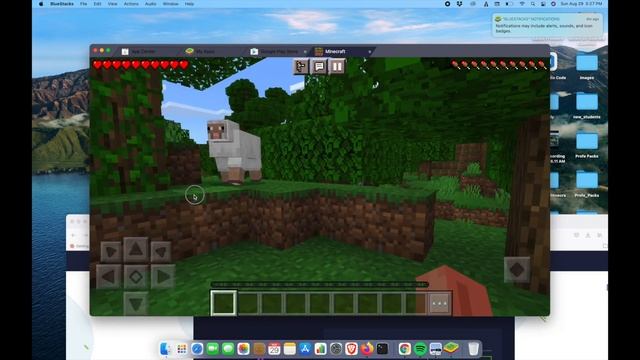 How to Play Minecraft Bedrock on a Mac смотреть онлайн