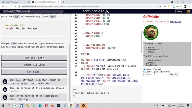 Изучаем HTML на freecodecamp Урок 37 Use Attribute Selectors to Style ElementsPassed смотреть онлайн