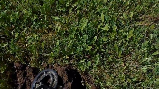 Новгородские прогулки. Шмурдо-коп! смотреть онлайн