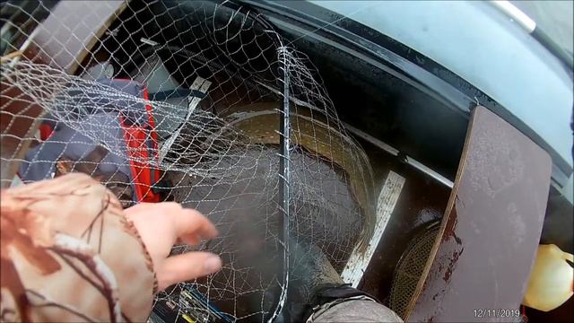 Истринское водохранилище щука 3,200 08 11 2020 смотреть онлайн