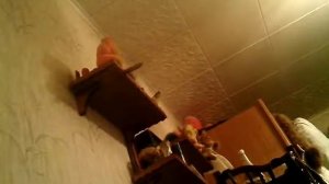 Попугай показал попу.