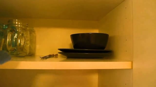 Leif the Ikea Shark - Day 01 смотреть онлайн