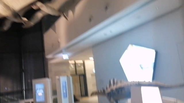 CULTURAL CENTER PART 4(KUWAIT)ANIMALS смотреть онлайн
